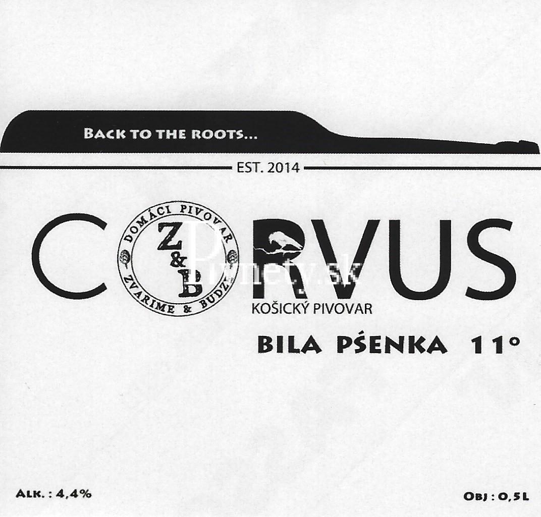 Corvus - Bila pšenka 11°