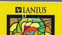 Lanius - Amarilo SMaSH  11°