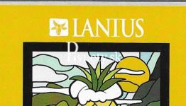 Lanius - Sterling IPA 15° The Pineapple