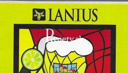 Lanius - Witbier Lime 13°
