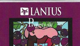 Lanius - Belgian Cassis Saison 15°
