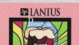 Lanius - Mulberry Cider ALE