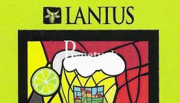 Lanius - Witbier Lime 13°